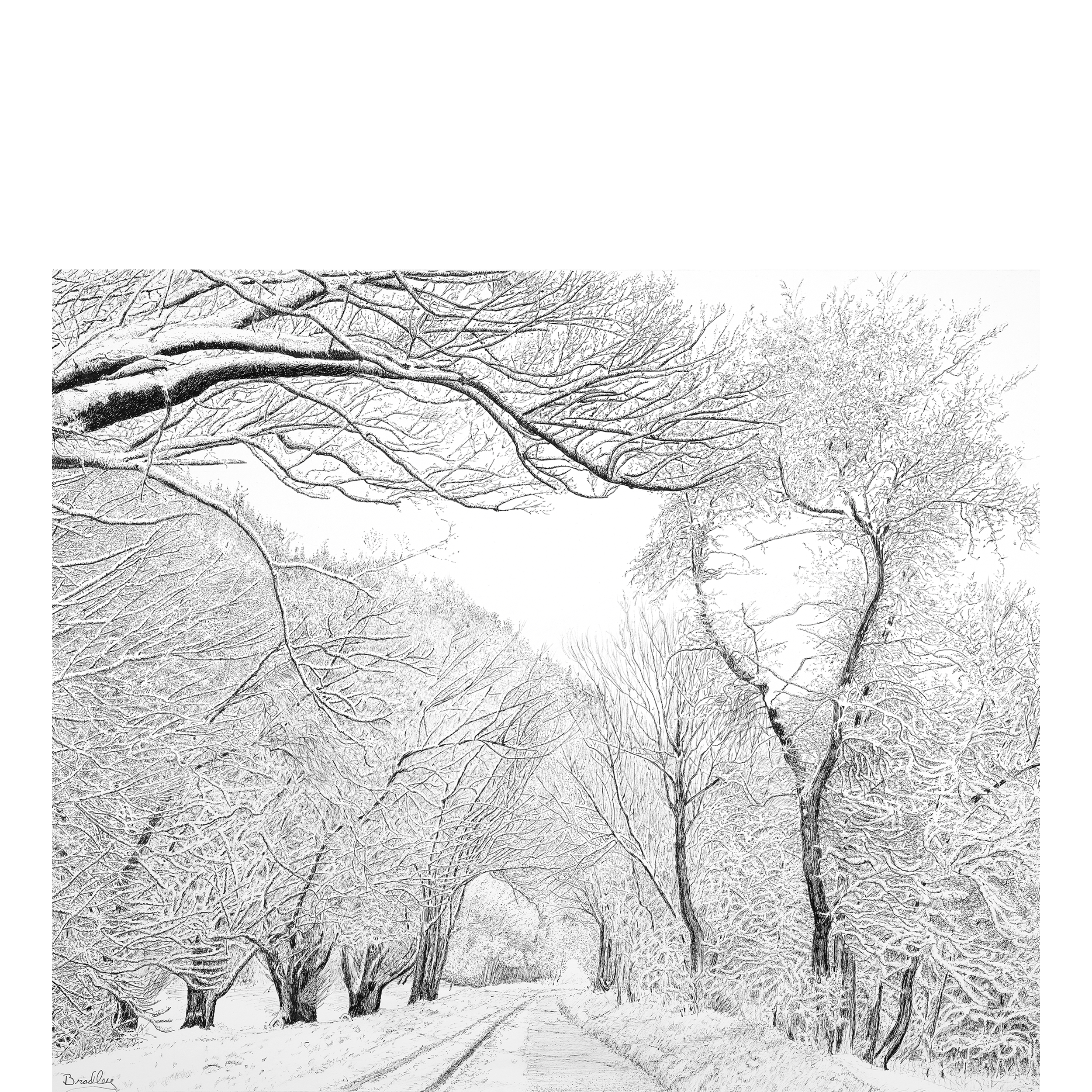 Logan Canyon in Winter