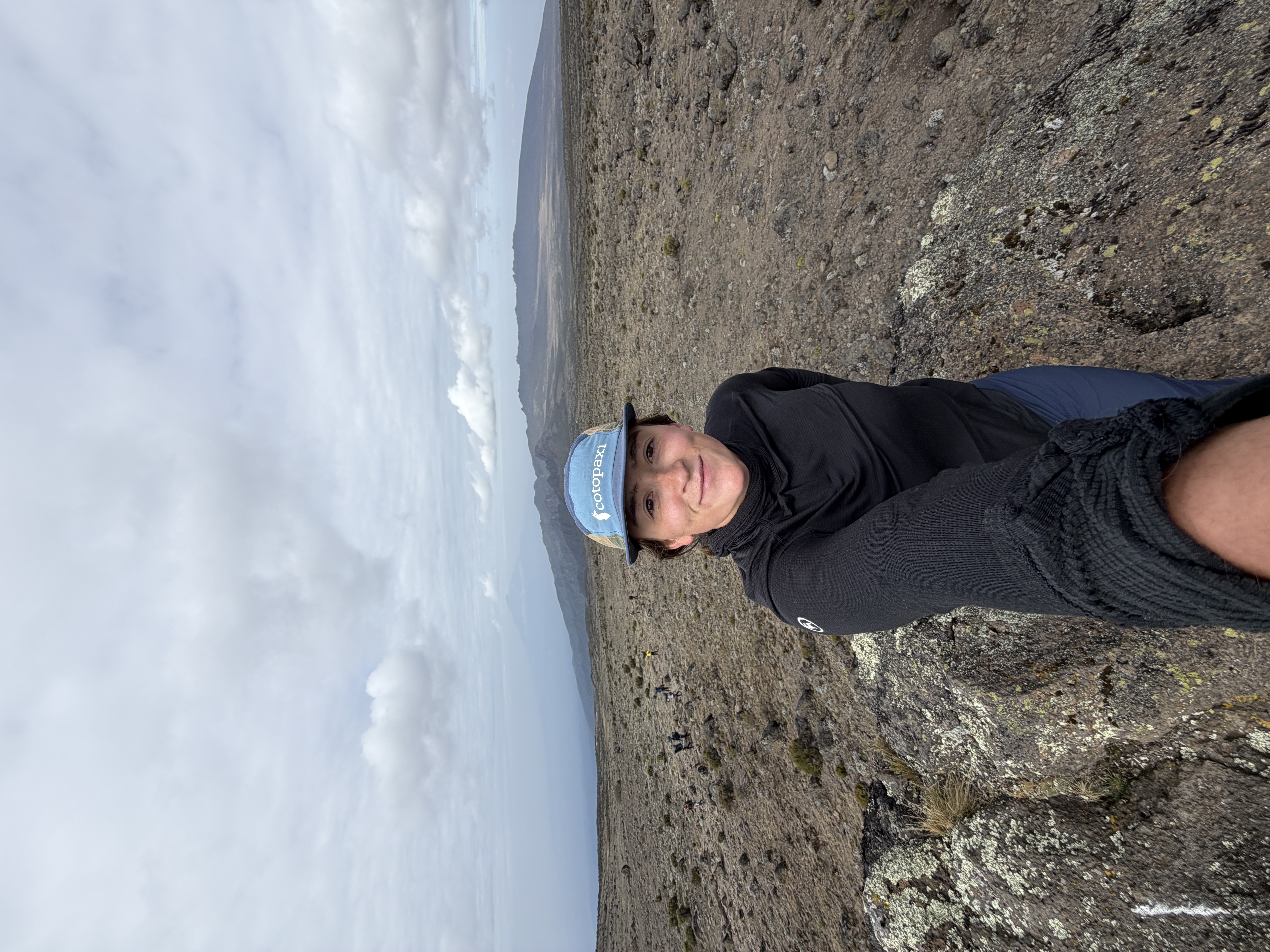 Four Birds